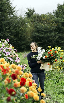 two-people-in-a-flower-nursery-cutting-flowers.jpg