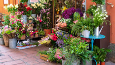 How to Become a More Sustainable Retailer