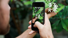 Top 7 FREE Video & Photo Editing Apps to Promote Your Floristry Business