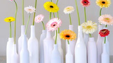 Anything but Roses! Featuring Floristry Tips from Su Whale