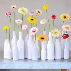 Anything but Roses! Featuring Floristry Tips from Su Whale