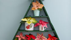 Christmas Shop Displays