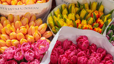 Grower Spotlight: Smith & Munson