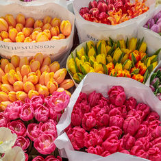 Grower Spotlight: Smith & Munson