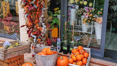 Halloween Drama on the Shop Floor