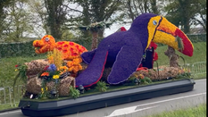 Parade Fever in Holland!