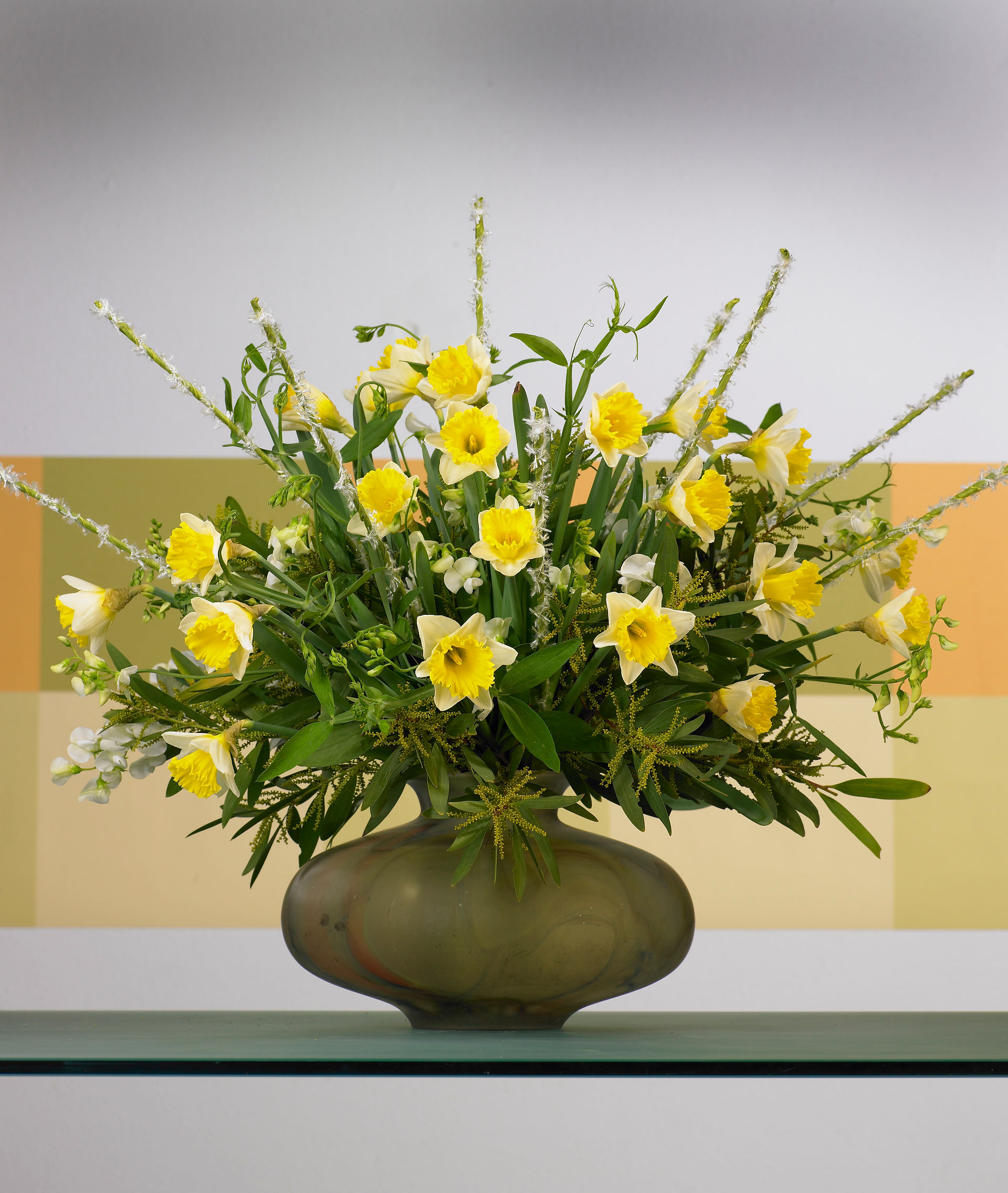 Fragrant Narcissus Daffodils in design