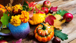 October Mood Board: Get that Autumn Glow!