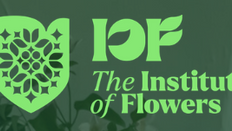 New Institute Established to Support Ireland’s Florists