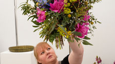 Let Loose with Scissors: Once you get the bug….