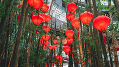 Happy Chinese New Year!