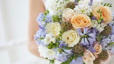 Perfect Planning for Weddings & Events