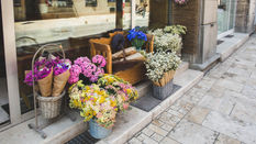 Seasonal Shop Displays: Get the Autumn Look
