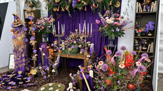 Colleges Compete at Harrogate Spring Flower Show