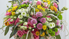 Grower Spotlight: LS Santini