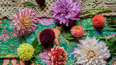 Halloween: Get Creative with Orange & Purple