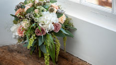 The Amaranthus Effect!