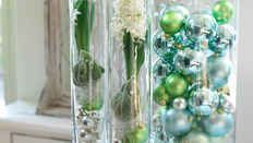 Houseplant Styling for Christmas