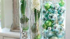 Houseplant Styling for Christmas