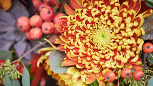 Bonfire Night Flowers: A Florist Plan for 5th November