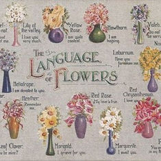 The Language of Flowers at Valentine's