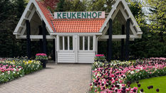 Keukenhof in Bloom