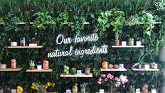 Visual Merchandising Focus: LUSH