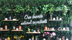 Visual Merchandising Focus: LUSH