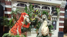 Chelsea & Belgravia in Bloom 2023