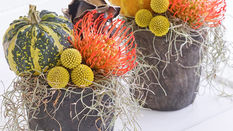 Its Pumpkin Season! Make a Foam-Free Pumpkin Arrangement.