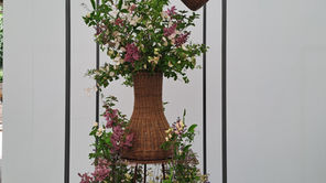 British Flowers Week 2026