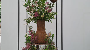 British Flowers Week 2026