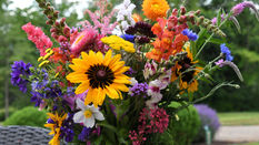 Quintessential Flowers for Summer Bouquets and How to Use Them
