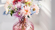 October from the Artisan Grower