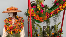 Colleges Compete for Top Honours at Harrogate Spring Show 2026