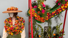 Colleges Compete for Top Honours at Harrogate Spring Show 2026