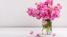 Ethylene Gas: the Silent Flower Killer.