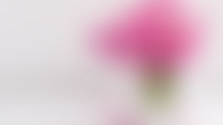 Ethylene Gas: the Silent Flower Killer.