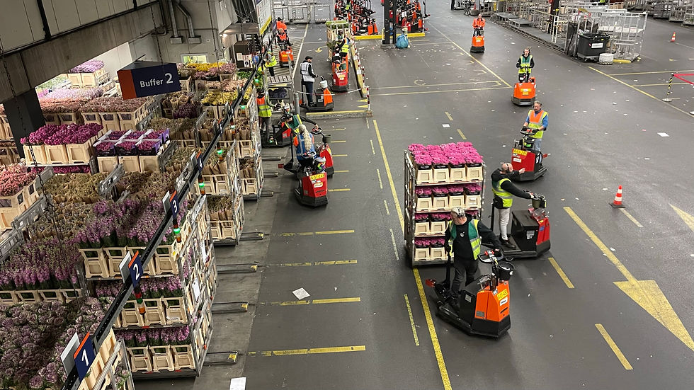 Flower warehouse