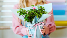 Pocket Money Presents for Mother's Day