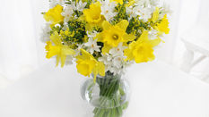 Flower of the Month: March