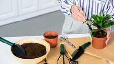 It’s Time for a Plant Health Check!