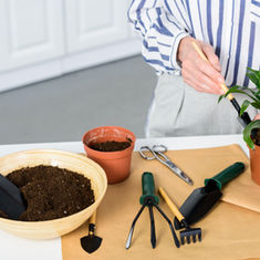 It’s Time for a Plant Health Check!