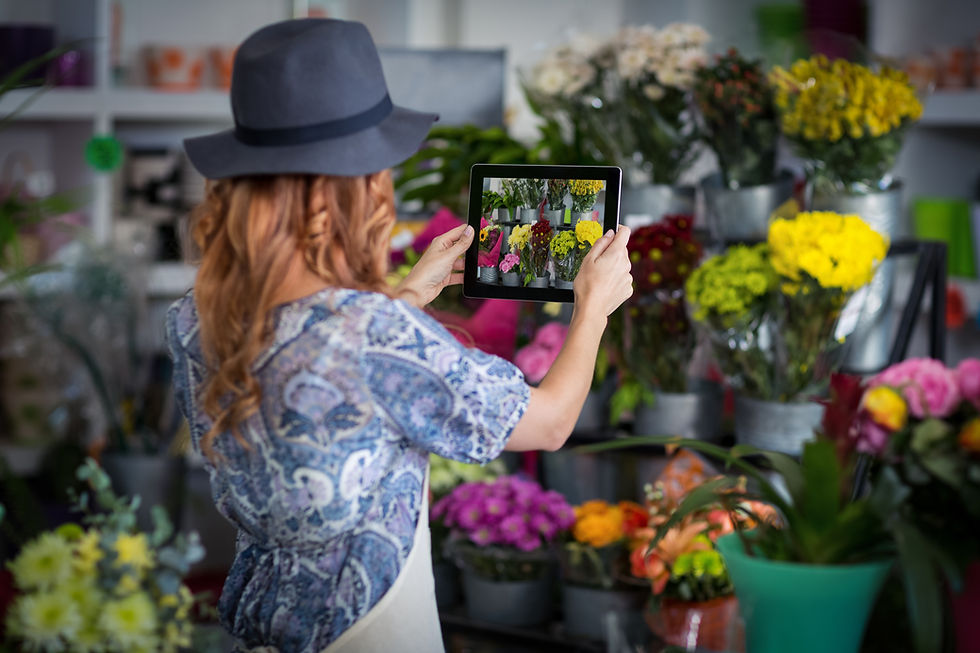 photographing flowers