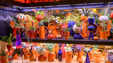 Put the vibe into your houseplants – Chelsea Style!