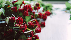 Conditioning Roses featuring Floristry Tips from Su Whale