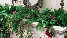 Getting Your Winter Greens