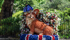 Chelsea in Bloom 2022: British Icons and Destination Displays