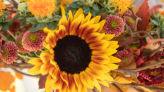 Floral Inspiration: From Summer to Autumn