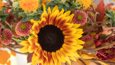 Floral Inspiration: From Summer to Autumn